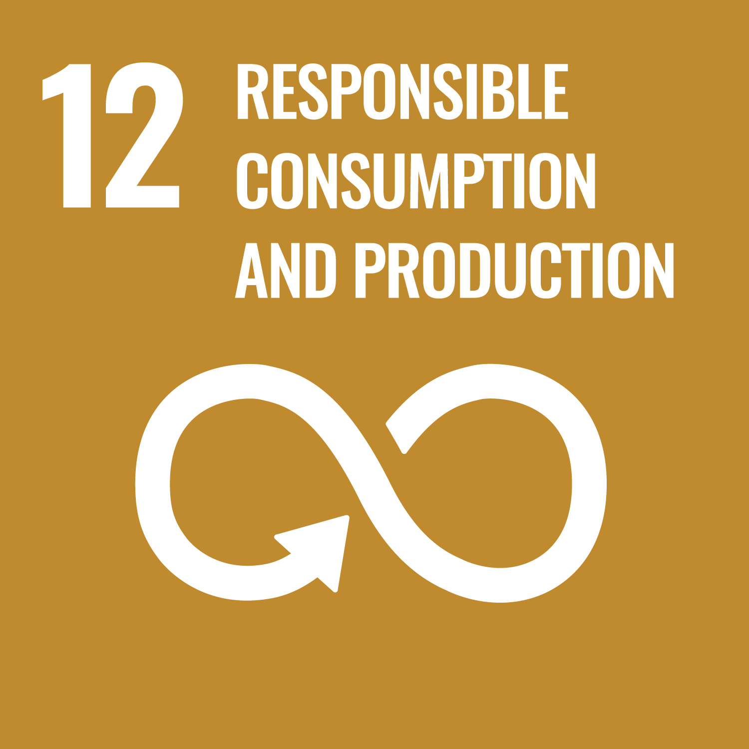 Sustainable Development Goal Nr. 12